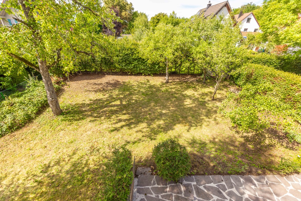 Blick i.d. Garten