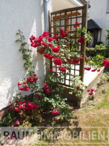 Blickfang im Garten