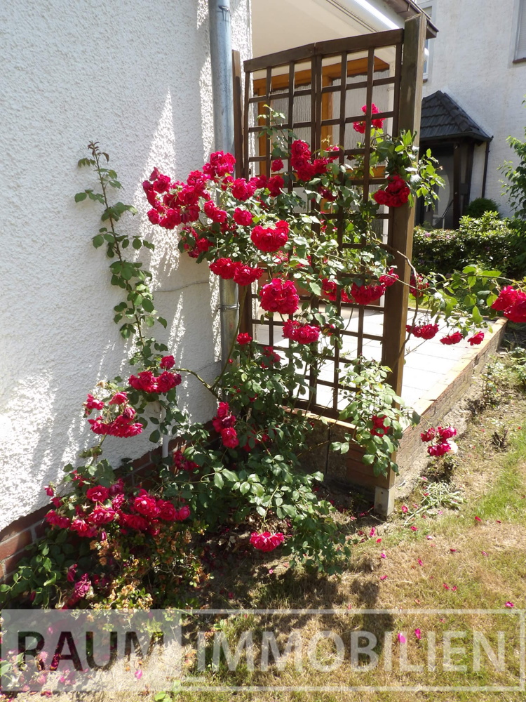 Blickfang im Garten