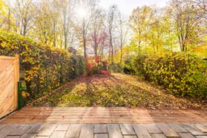 Blick in den Westgarten