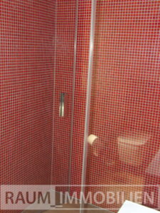 Ansicht Dusche Bad 1