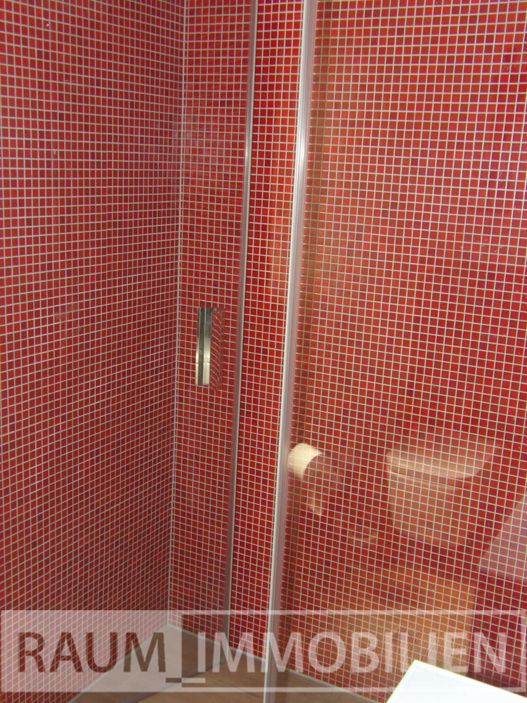 Ansicht Dusche Bad 1